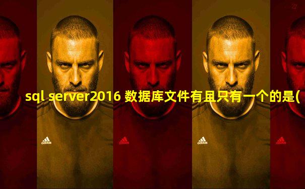 sql server2016 数据库文件有且只有一个的是( )